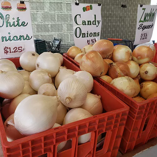 Fresh Produce Market and Store