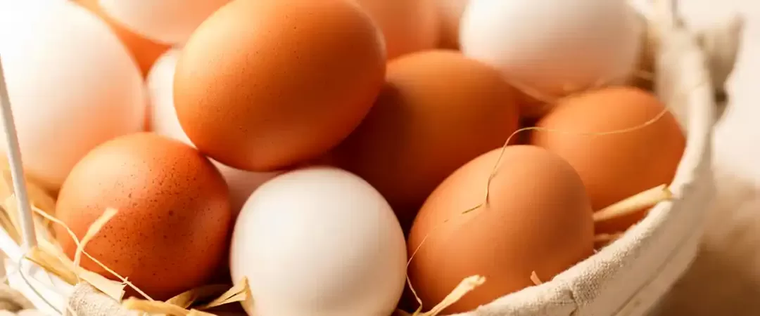 Eggs