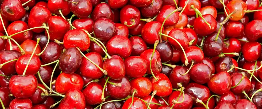 Cherries