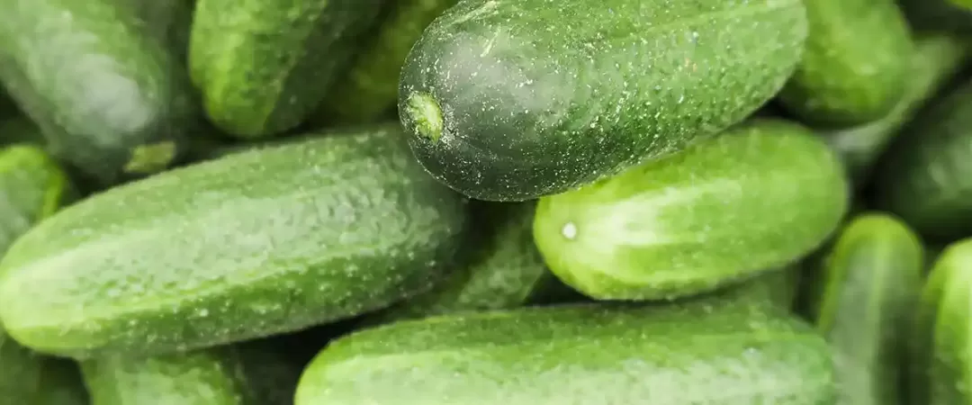 Cucumbers