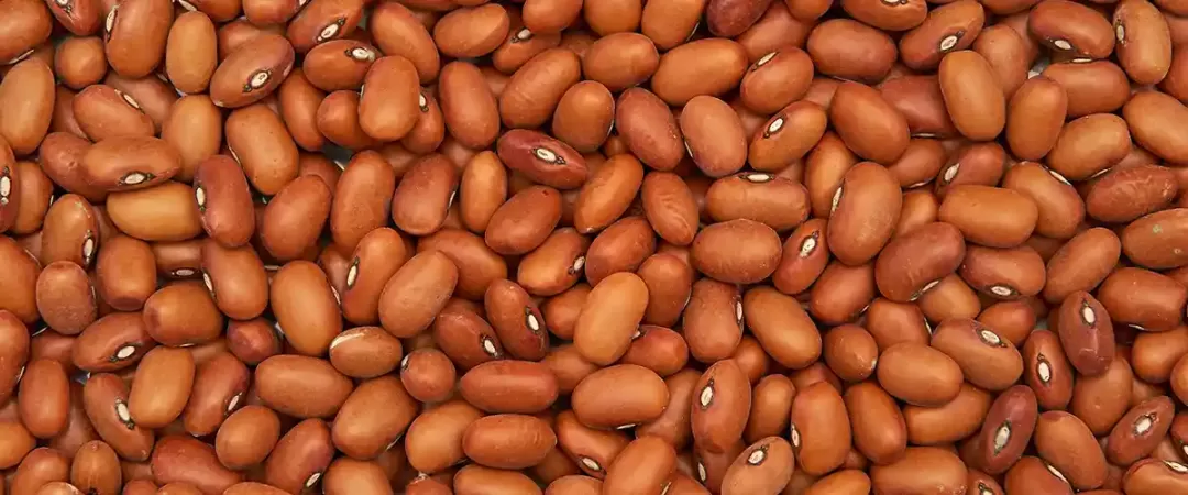 Beans